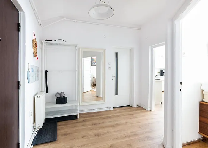 Agnes * 布拉索夫