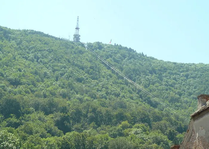 Agnes * 布拉索夫